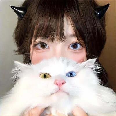 守信少年