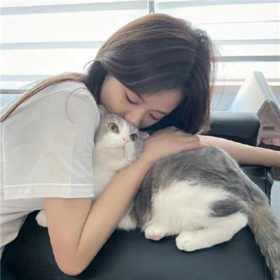 圣诞星