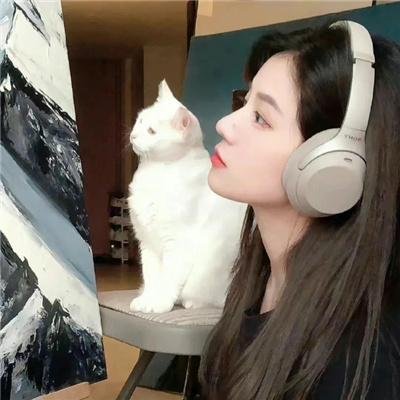 神台猫